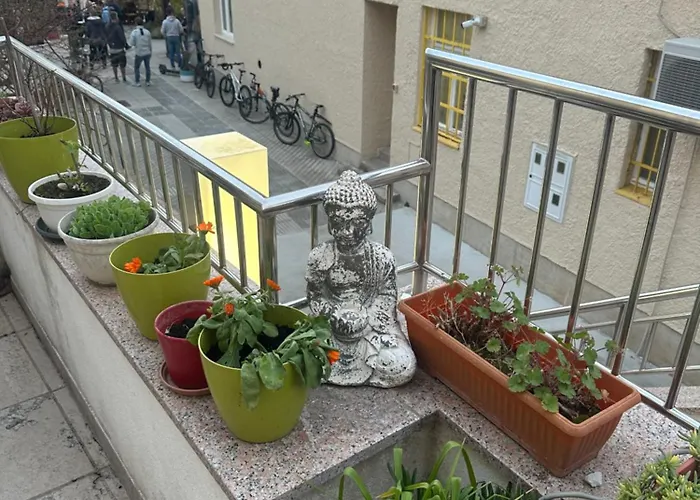 Body And Mind Detox Retreat On Punat, Krk Island, Croatia Appartement *